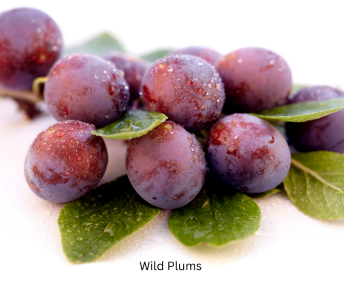 Wild Plum and Pomegranate Fragrance Oil