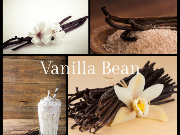 Vanilla Bean Fragrance Oil